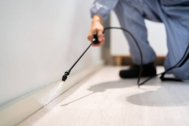 Licensed Pest Control service in Columbia, SC - Nex Pest Control