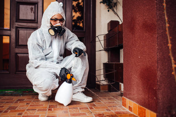 Reliable Bed Bug Control contractor in Columbia, SC by Nex Pest Control