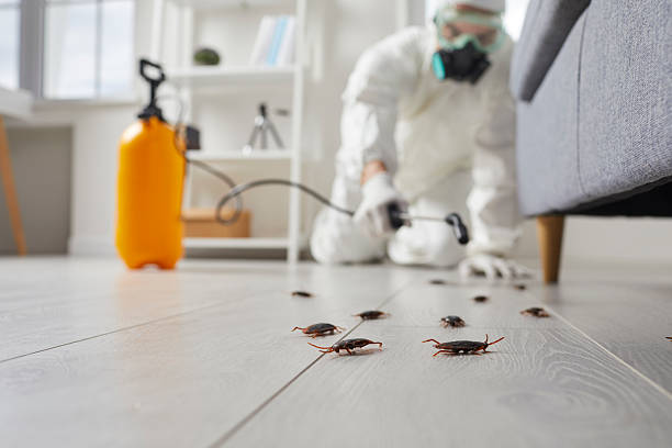 Trusted Termite Control service in Columbia, SC - Nex Pest Control