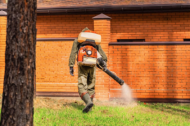 Trusted Bed Bug Control service in Columbia, SC - Nex Pest Control